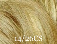 14_26cs.jpg