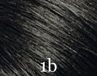 1b.jpg