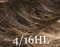 4_16hl.jpg