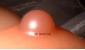 we-nipd-br2-large.jpg