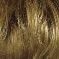 gisela-mayer-ashley-mono-frontlace-blond.jpg