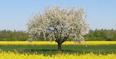 Unsere Umwelt ist so sch�n...