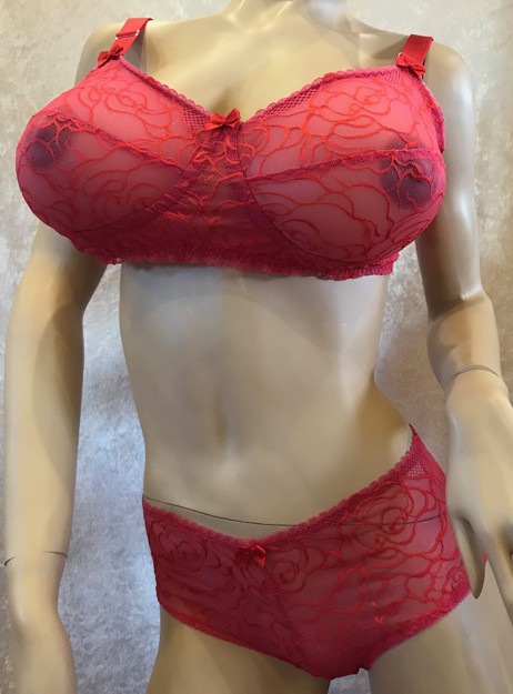 temptation-lingerie-taschen-bh-hipster-gaff.jpg