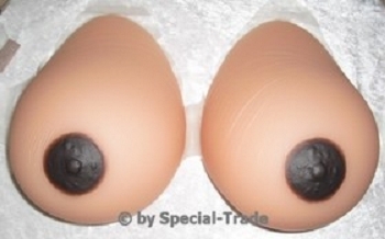 trans-bra-j-02-large.jpg